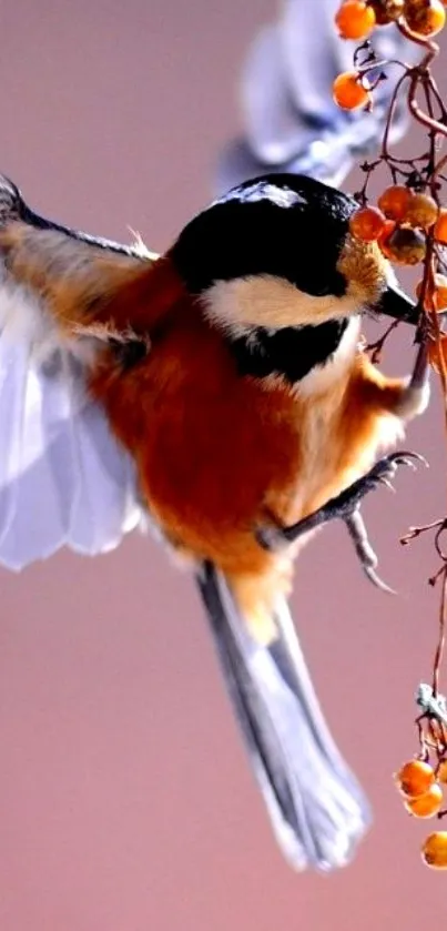 Chickadee flying with berries on a branch, vibrant and elegant.