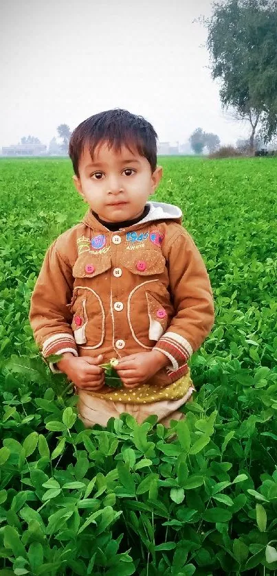 Child standing in lush green field, nature scene.