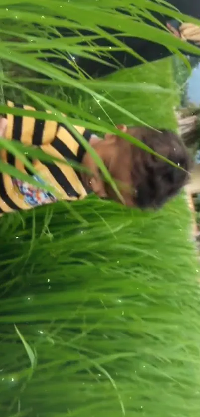 Child exploring a lush green field outdoors.