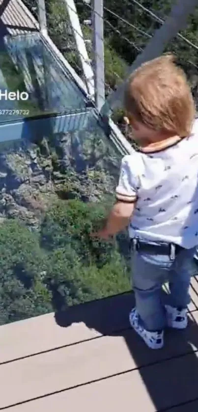 Child on a glass bridge with greenery below and blue skies.