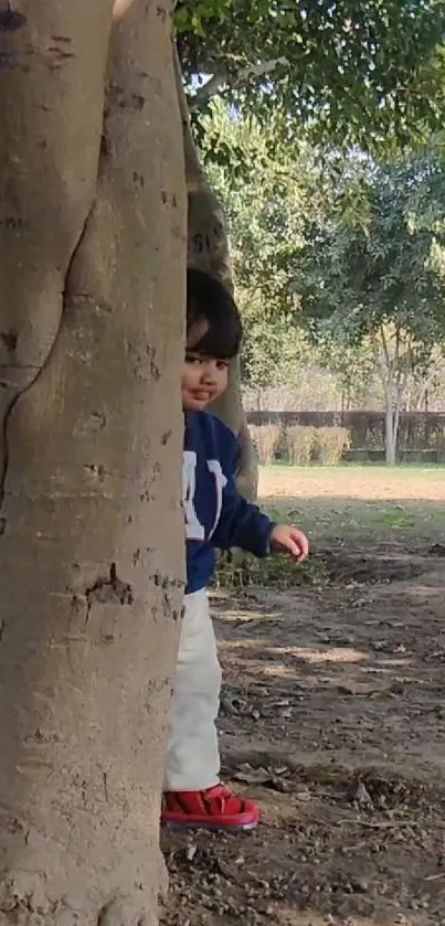 Child peeking from behind a tree in a park.