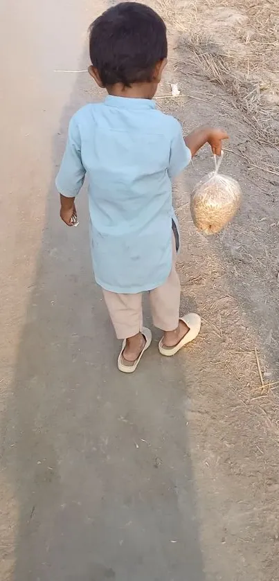 A young boy walks down a sunlit rural pathway carrying a package.