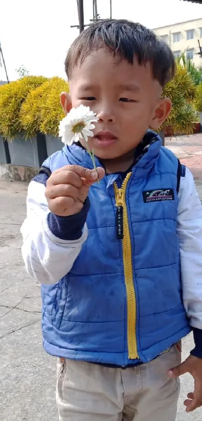 Little boy outside holding a white flower.