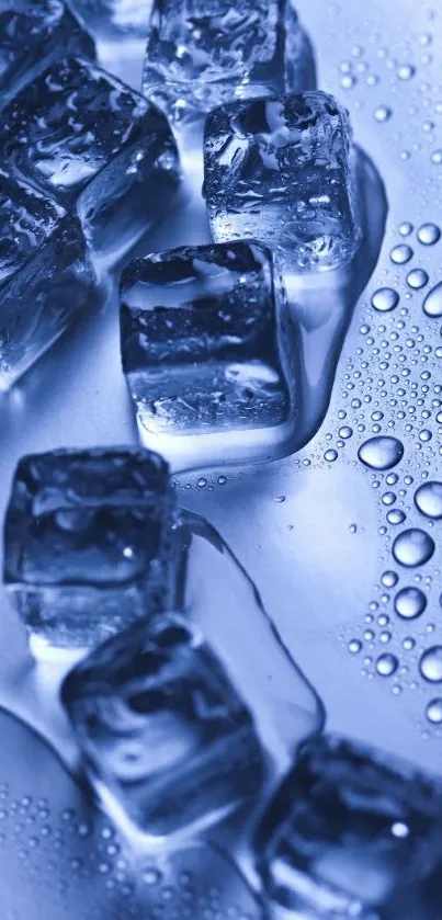 Chilled blue ice cubes with droplets on wallpaper.