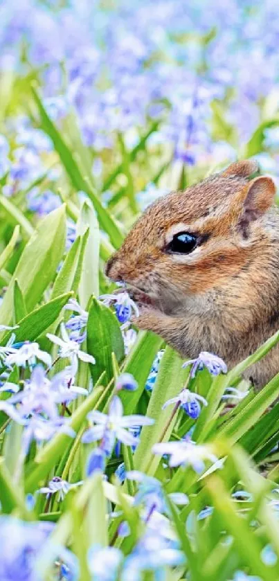 Chipmunk surrounded by vibrant green and purple spring flowers.
