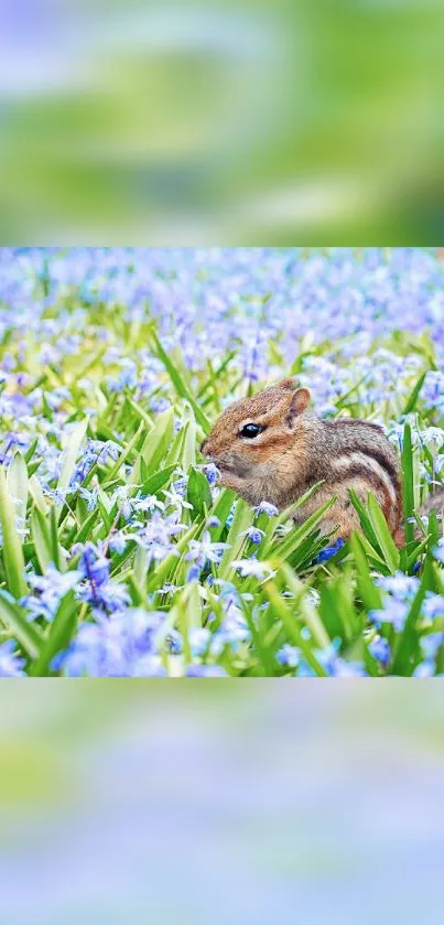 Chipmunk amidst blue flowers in a tranquil natural setting.