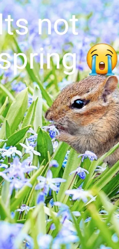 Chipmunk surrounded by purple flowers in a spring field.