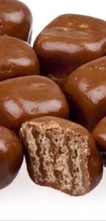 Chocolate biscuits with textured layers on white background.