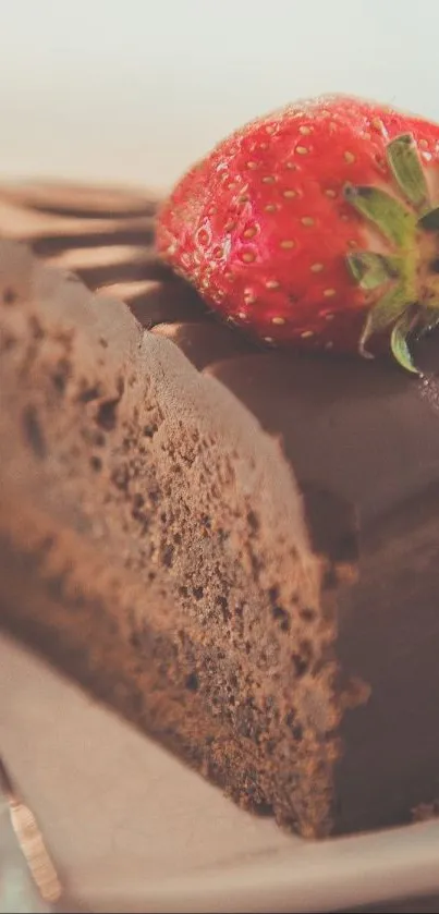 Chocolate cake slice with strawberry on top.