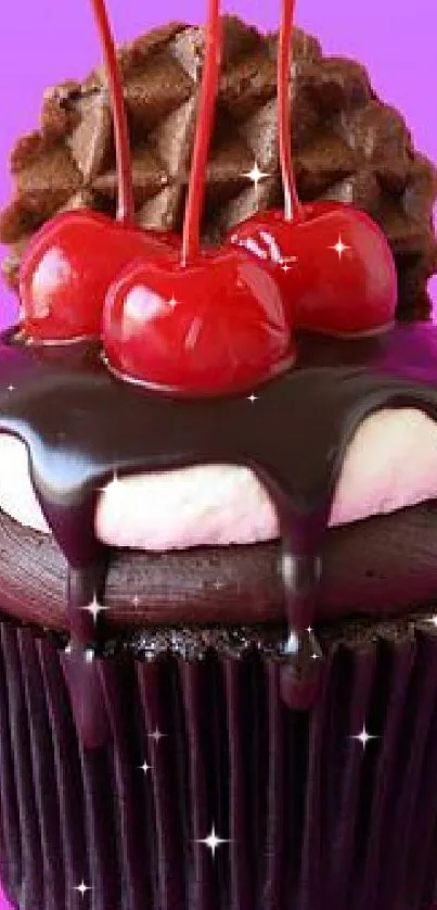 Chocolate cupcake with cherries on a pink background.