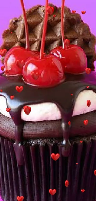 Chocolate cupcake with cherries on pink background.