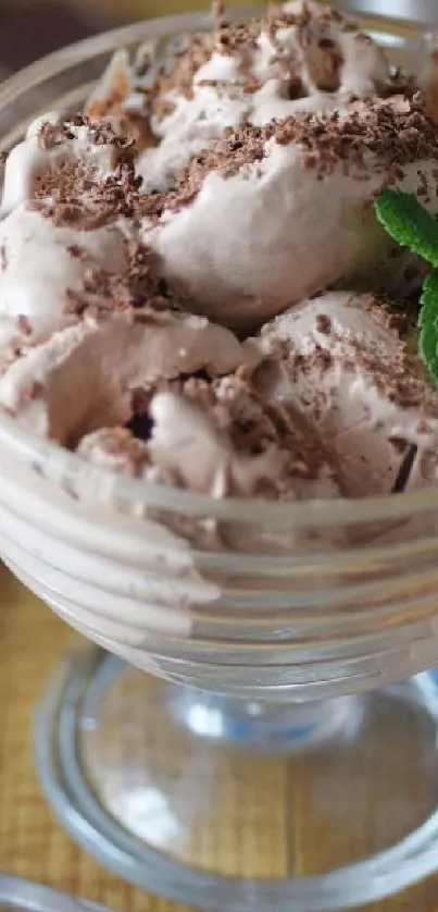 Chocolate ice cream dessert with mint garnish on wooden table.