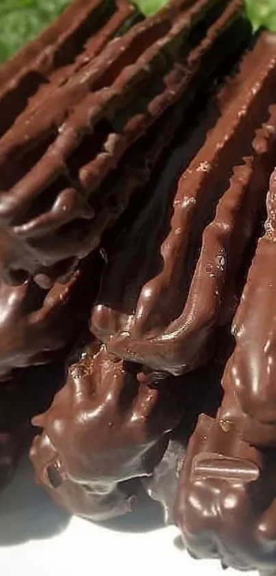 Chocolate-dipped churros stacked on a plate in sunlight.