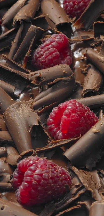 Close-up of chocolate shavings with fresh raspberries on top.