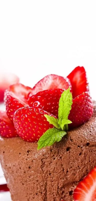 Chocolate mousse with strawberries and mint leaves on top.