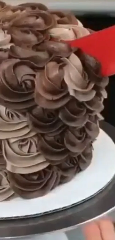 Chocolate swirl cake with intricate icing design on display.