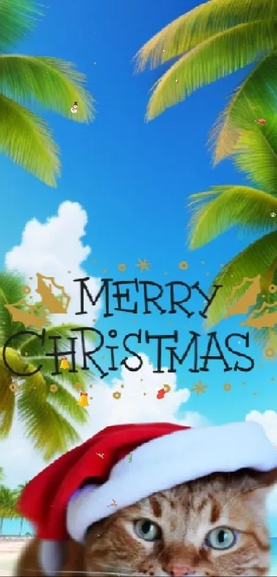 A cat in a Santa hat on a tropical beach with palm trees and the text 'Merry Christmas'.