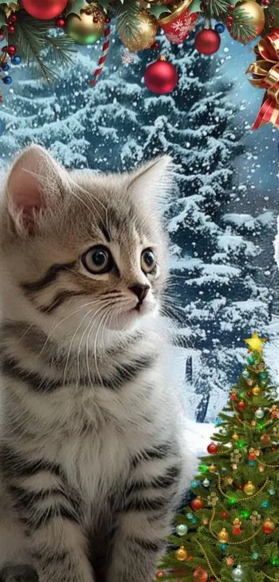 Cute kitten with Christmas decor and snowy background.