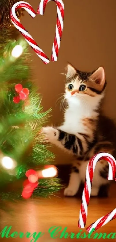 Adorable kitten by Christmas tree with candy canes.