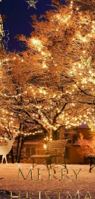 Christmas lights on trees in a snowy landscape.