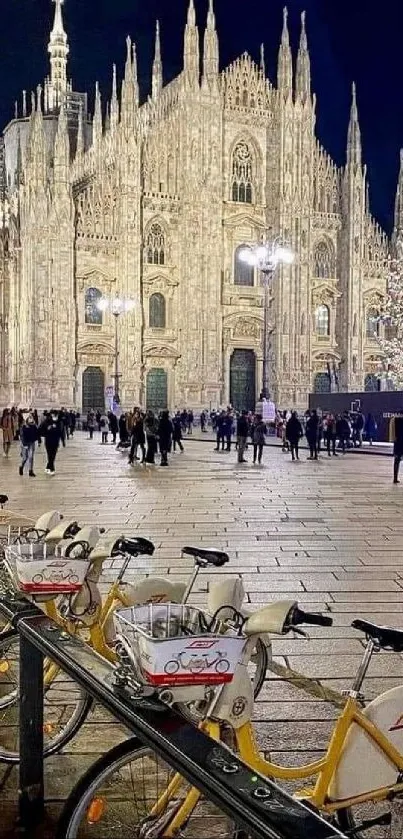 Illuminated cathedral and Christmas tree at night with bicycles in foreground.