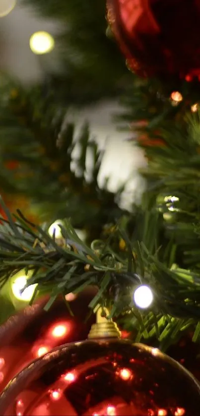 Christmas Tree Christmas Ornament Light Live Wallpaper