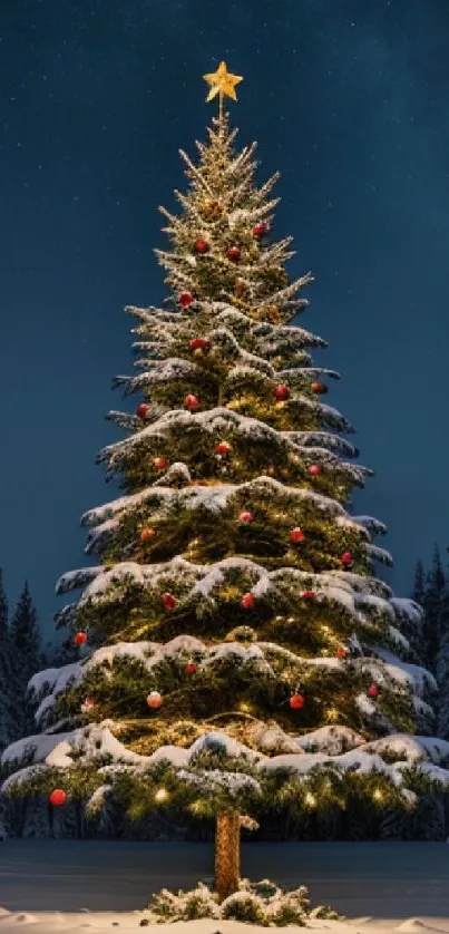 Snowy Christmas tree glowing under a starlit winter night.