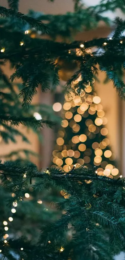 Festive Christmas tree with glowing lights and pine branches.