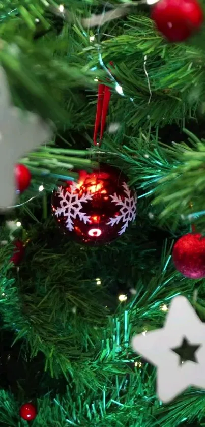 Close-up of Christmas tree with red ornament and white stars.