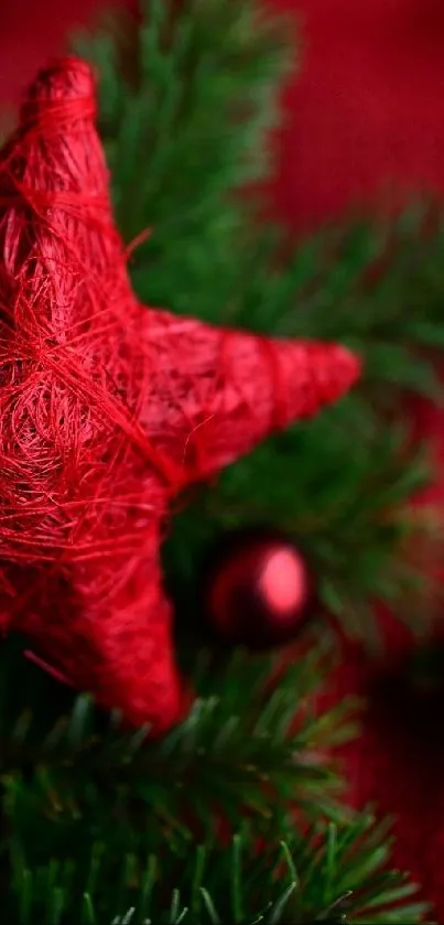 Christmas Tree Plant Christmas Ornament Live Wallpaper