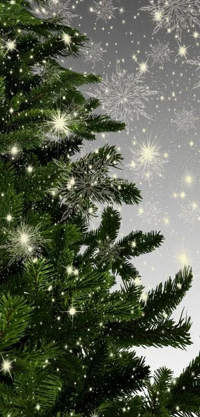 Christmas Tree Plant Christmas Ornament Live Wallpaper