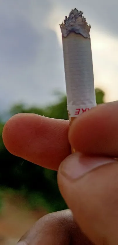 Close-up image of a cigarette with a natural blurred background.