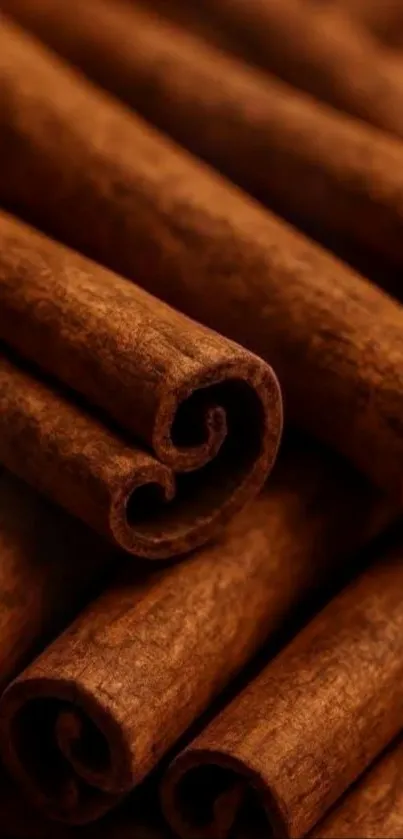 Close-up of cinnamon sticks on a smartphone wallpaper.