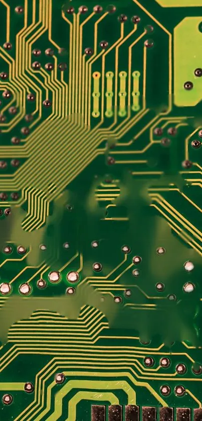 Green circuit board pattern mobile wallpaper.