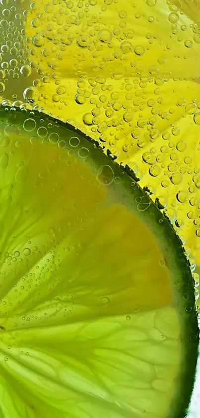 Close-up of lemon and lime slices with bubbles in fizzy detail.