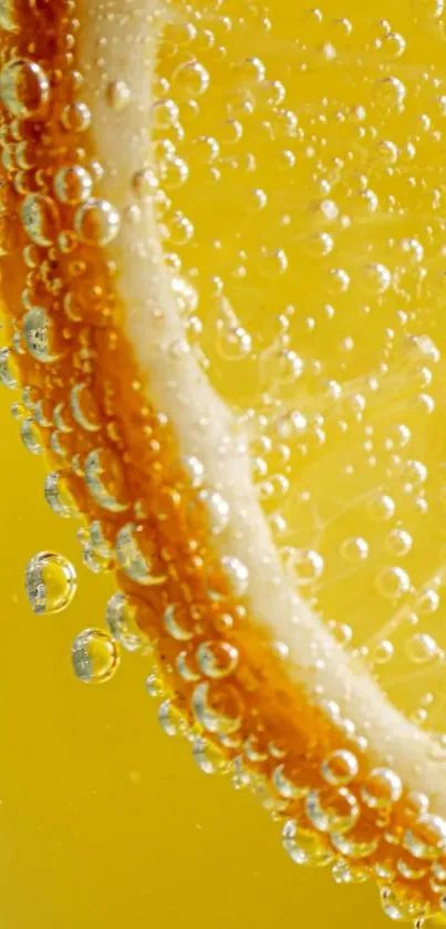 Close-up of a lemon slice with bubbles in yellow liquid background.