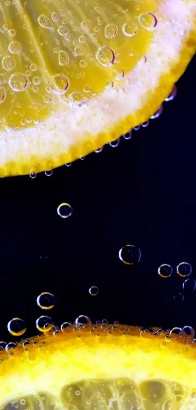 Vibrant lemon slices with bubbles against a dark background.