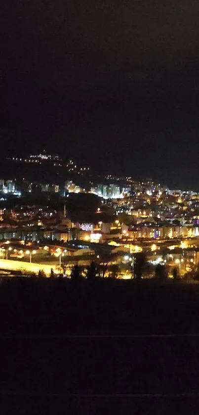 Vibrant cityscape illuminated at night with bright urban lights.