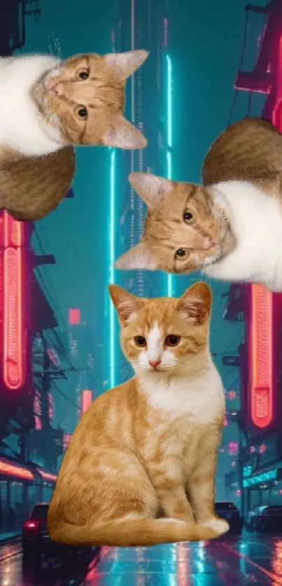 Ginger cats with neon lights in city backdrop wallpaper.