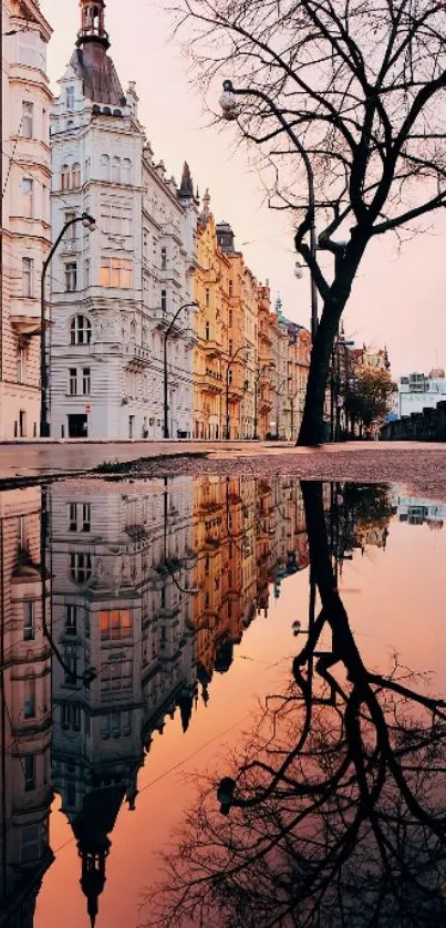 Cityscape reflected on water during sunset, with elegant buildings and bare tree.