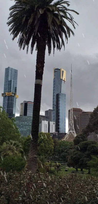 Palm tree against city skyline with gray sky.