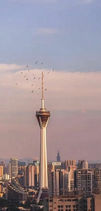 City skyline at dusk with a towering structure and beautiful sky.