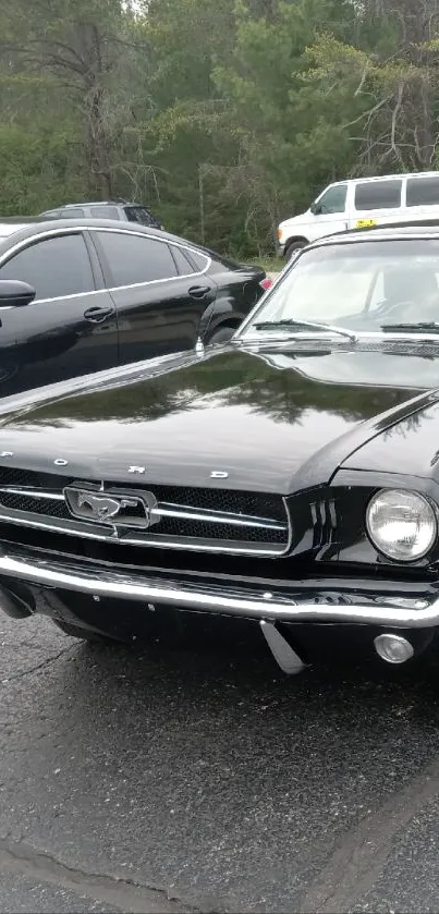Vintage black car parked on paved road with greenery background.