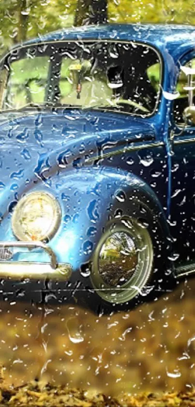 Blue vintage car under raindrops with autumn leaves.