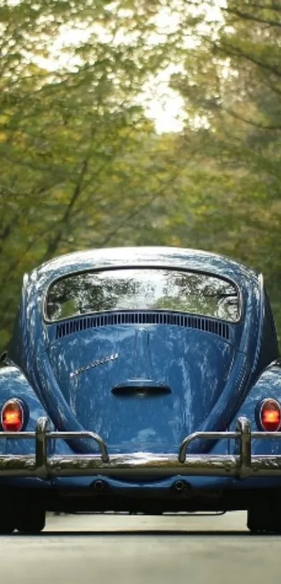 Classic blue car on a forest road, exuding vintage charm and natural serenity.