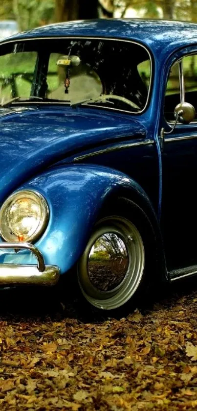 Classic vintage blue car in a forest setting mobile wallpaper.