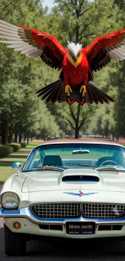 Vintage car with eagle flying overhead on a tree-lined road.