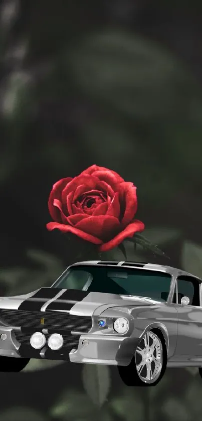 Classic car with red rose on black background wallpaper.