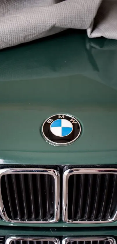 Close-up of a vintage green BMW with a shiny grille and classic emblem.