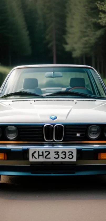 Classic car on forest road, surrounded by serene green trees.